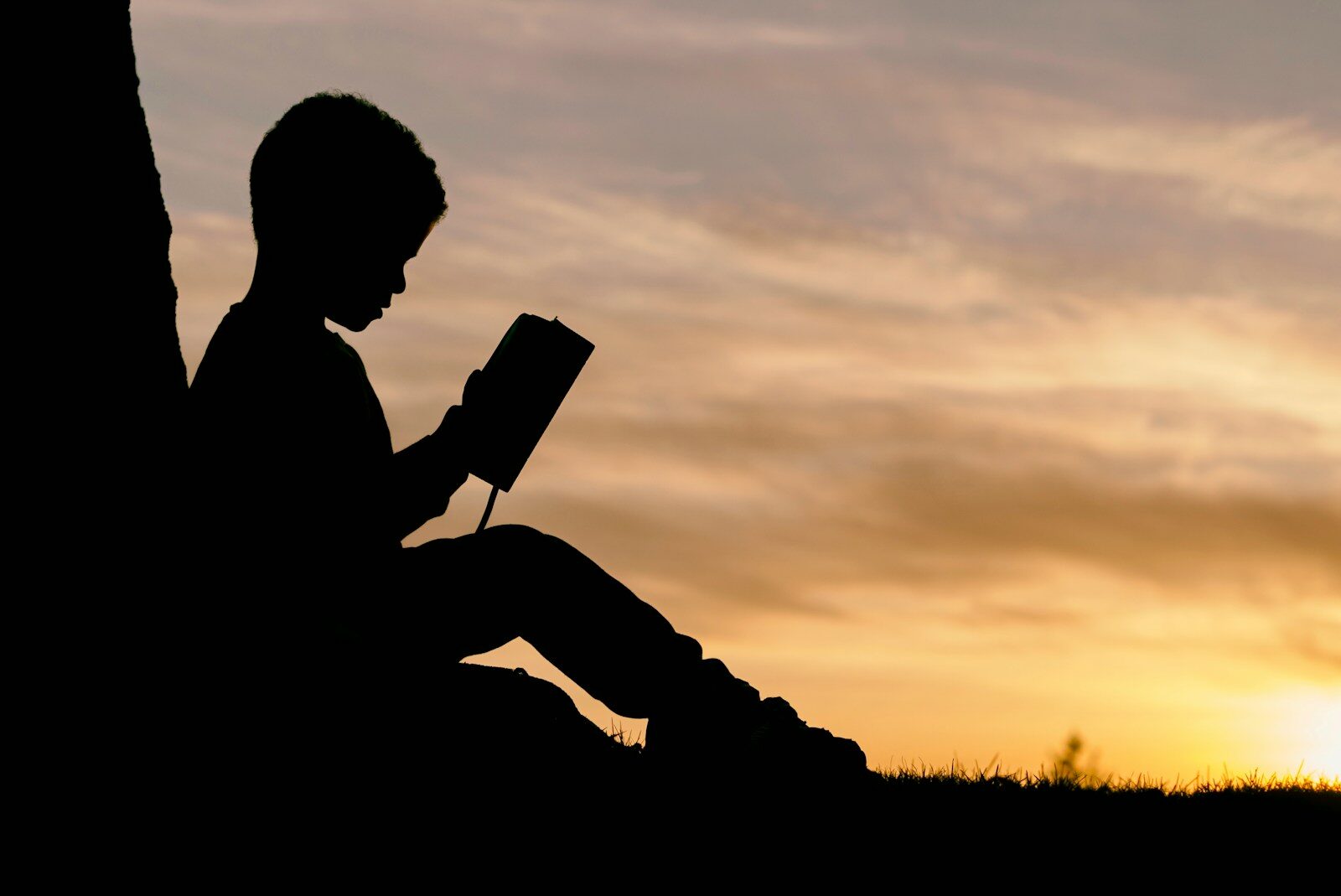 silhouette of child sitting behind tree during sunset